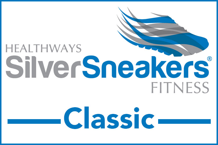 Silver Sneaker Classic